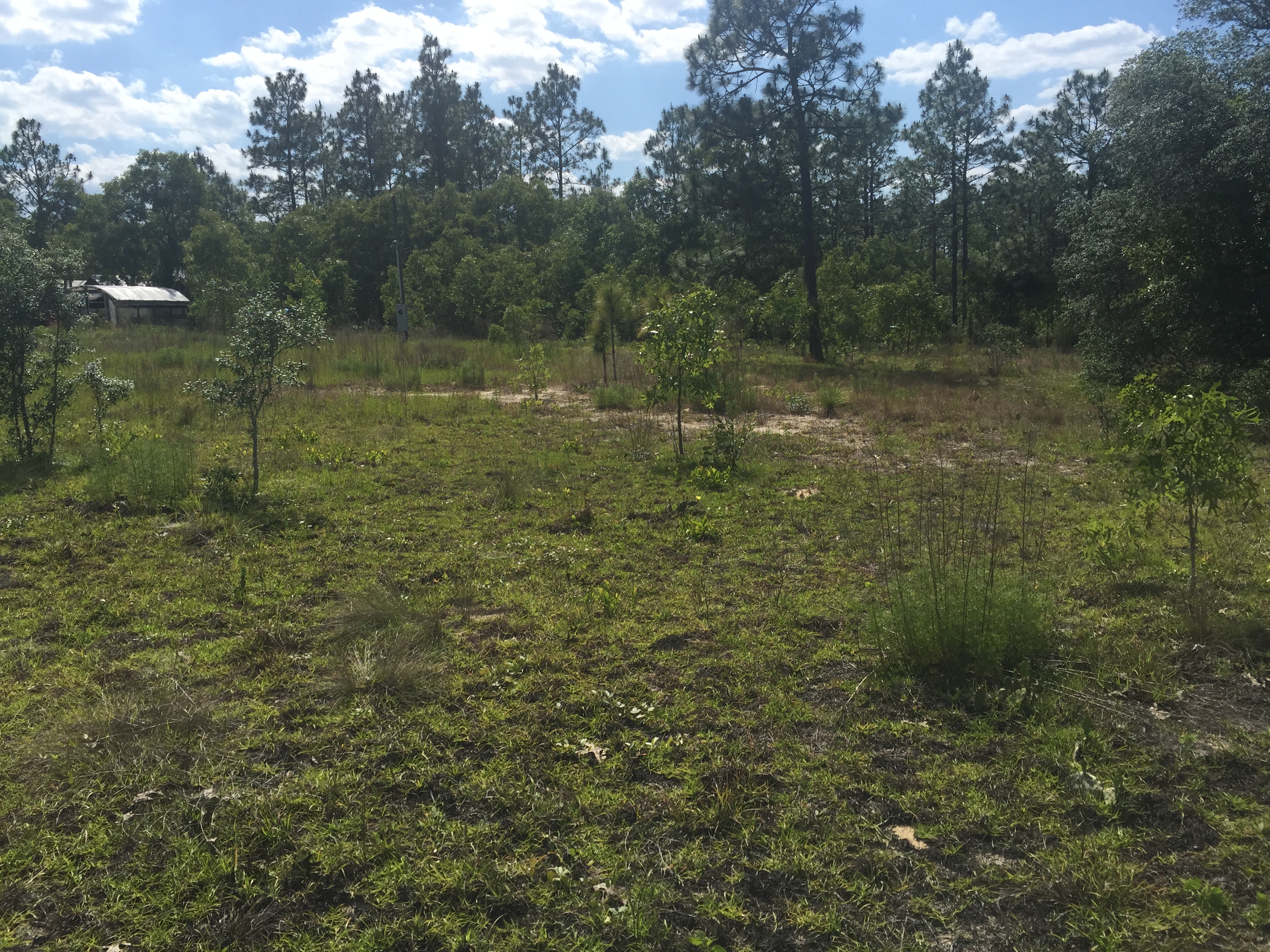 Williston Highlands Unit 12, Blk 38, Lot 4